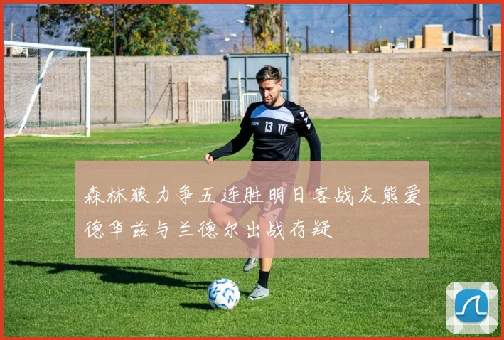 森林狼力争五连胜明日客战灰熊爱德华兹与兰德尔出战存疑