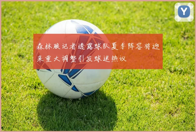 森林狼记者透露球队夏季阵容将迎来重大调整引发球迷热议