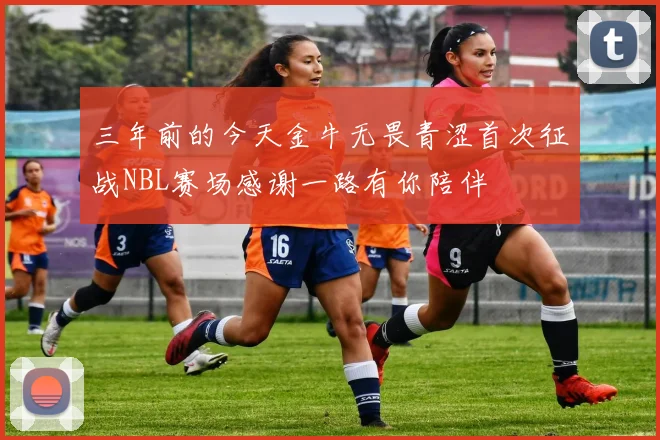 三年前的今天金牛无畏青涩首次征战NBL赛场感谢一路有你陪伴